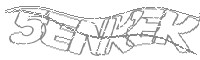 Check code